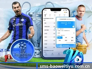 国际化进程 - BWSPORTS